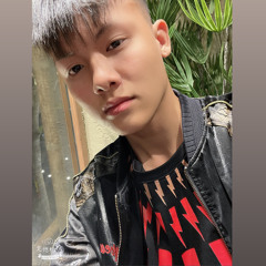 Tien Viet (TV)