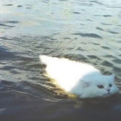 prettygirlsdiggraves