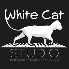 White Cat Studio