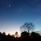 Jupiter Falling