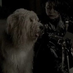 kmsss666
