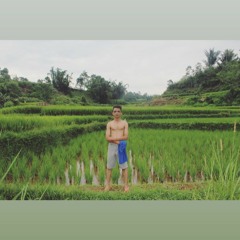 Taufik Ramadhannil Koto