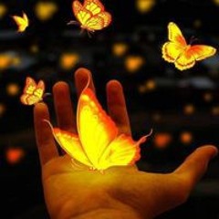 ابوالغلابه ابوالغلابه