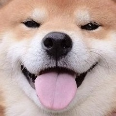 n a n a c h i - c h a n