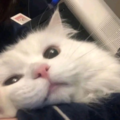 Hisu
