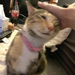 渚旬