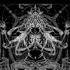 Syncarpia
