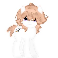 SkySoun