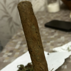 wWwockHarDt