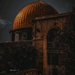 Marim M Gamal