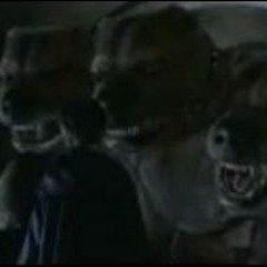 Cellars Hohenort ® MMXXV