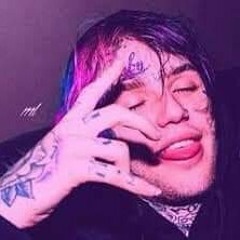 Bvrk.Dog