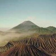Onizefobyx1972