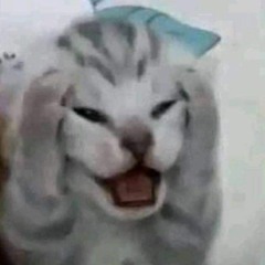 2121