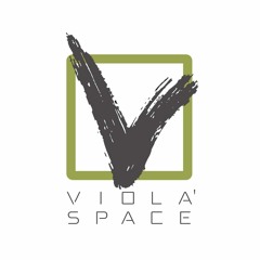 Violà Space - Hair & Art Gallery