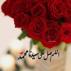 عبد الحي محمود سلامة