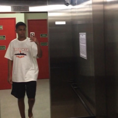 Thomás Werneck Viana