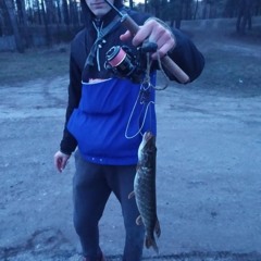 Alex