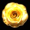 G. Rose