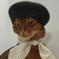 cool cat