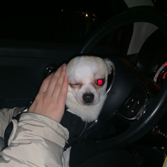 Kotryna Ambrazaitytė