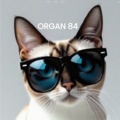 ORGAN 84