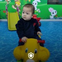 Ankie