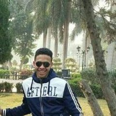 محمودمحمدعمار عمار