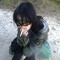 Secretement effondre