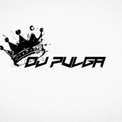 DJ Pulga