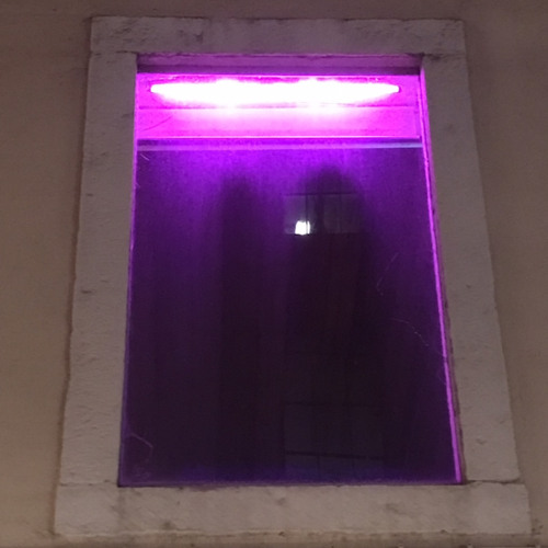 purple window’s avatar