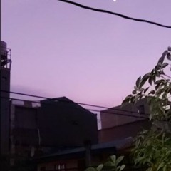 ハンターレオリオ