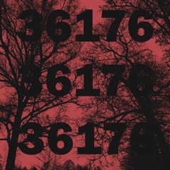 36176 morebeats
