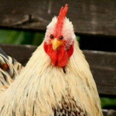 !FEUERWERKSRAP!  Raketenulf  - Pyroszene.mp3