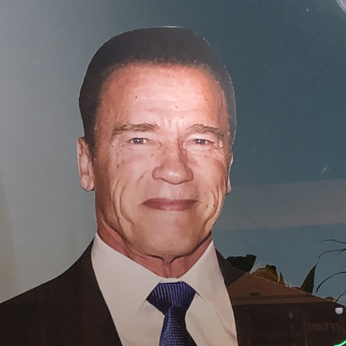 Arnold Schwarzenegger’s avatar