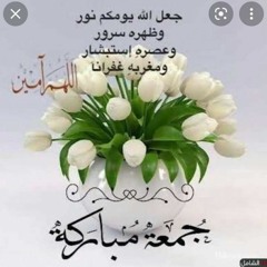 ملك ميسر