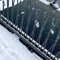 финес джугашвили