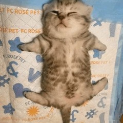 ㅤ