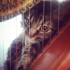 jesuslovesyoubutidont