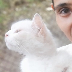 Deepika. S