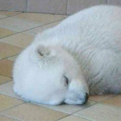peaksleep9