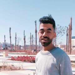 Saieed Elhaggar
