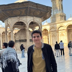 mohannad Alanany