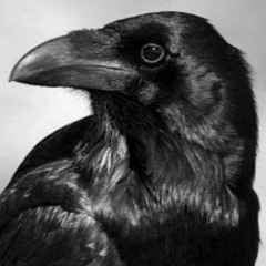 Crow