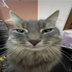 hi_p