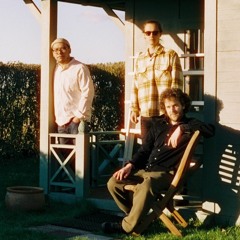 Luong/Neubauer/Liebhaber