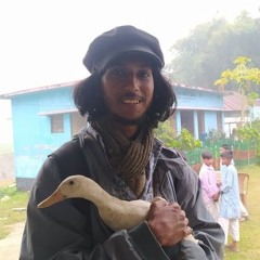 SaRShu TheTinyFirefly