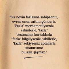 Hayalet Muhabir