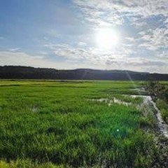 Nhật Duy