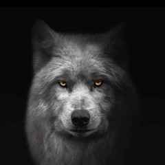 Dwolf